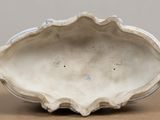 a white shell on a table with a brown background