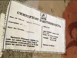 a picture of a certificate on a piece of fabric