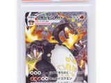 a close up of a card in a plastic bag