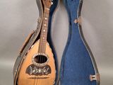 un vieil étui à guitare contenant une guitare, posé sur une surface blanche
