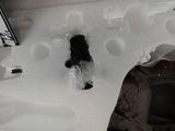 a teddy bear that is in the snow near a toilet