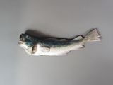 un poisson posé sur une table