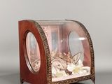 une vitrine en verre avec un chat à l'intérieur