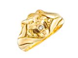 a close up of a gold ring with a lion on it