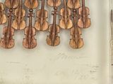 a picture of a group of musical instruments hanging on a wall