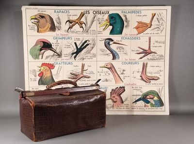 une photo d'un sac en papier brun et une photo représentant différents oiseaux