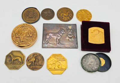 de nombreuses pièces d'or et d'argent sur une surface blanche