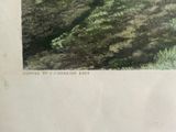 a picture of an old picture of a forest