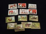 beaucoup de cartes représentant des animaux, posées sur une table