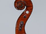 a close up of the back of a violin with a wooden bow
