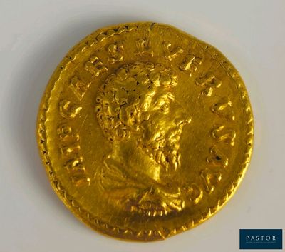 gros plan d'une pièce d'or sur une surface blanche