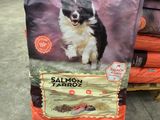 un gros plan sur un sac d'aliments pour chiens au saumon exposé dans un magasin