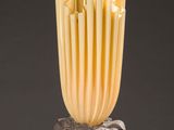 an image of a vase with a bunch of noodles in it