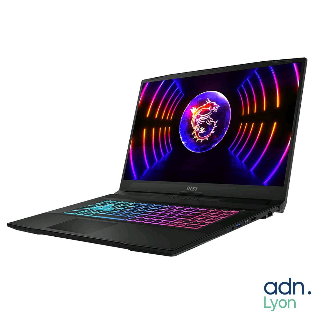 Ordinateur portable MSI Katana 17 B12Vfk Noir - Intel Core I…