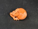 a small piece of salmon on a black surface