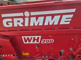 un gros plan d'un « grainer » rouge posé au sol