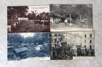 plusieurs vieilles photos en noir et blanc représentant des personnes dans un jardin