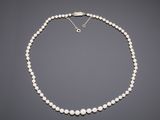 a white pearl necklace with a silver clasp
