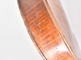 a close up of a violin on a white background
