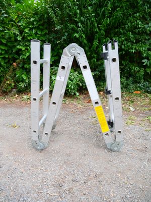 a pair of ladders sitting on the ground next to a bush