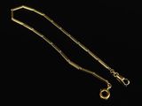 a gold plated necklace with a long chain and a clasp