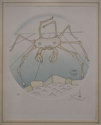 dessin d'une araignée dans un cercle sur fond blanc