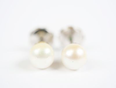pair of pearl earrings on a white background