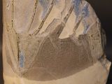 a close up of a vase on a table