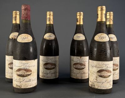 six bouteilles de vin sont alignées dans une rangée