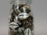 a glass jar filled with shells on a white surface