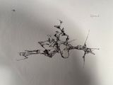 pencil drawing of a man riding a horse on a white surface