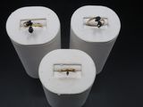 three rings are sitting in a white container on a black surface
