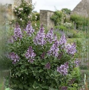 Destockage & Invendus