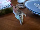 a bird that is sitting on a table next to a plate