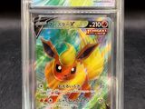 a close up of a pokemon trading card in a clear box