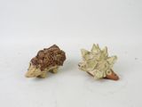 two figurines of a hedge and a hedgehog on a white surface