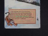 a card with a picture of a tiger in the snow