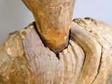 un gros plan sur une statue en bois représentant une personne