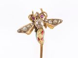 an image of a close up of a stick with a dragonfly on it