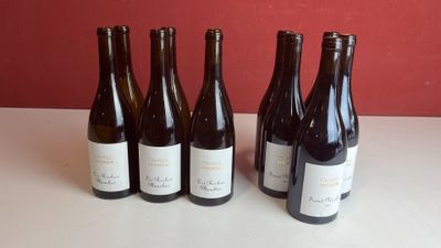 six bouteilles de vin sont alignées sur une table
