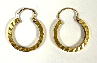pair of gold tone hoop earrings on a white background