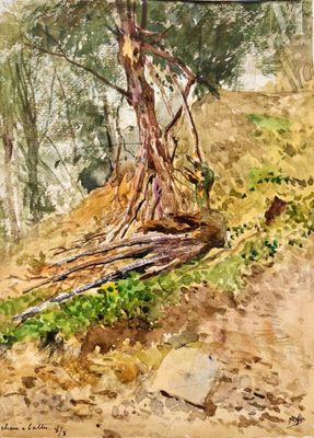a watercolor painting of a tree on the side of a hill