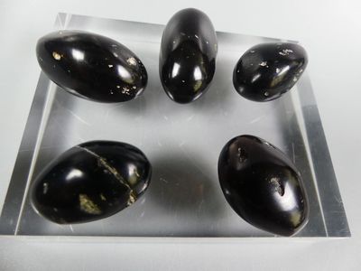 four black egg shells on a clear plate on a white surface