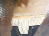 un tableau représentant une femme vêtue d'un manteau de fourrure