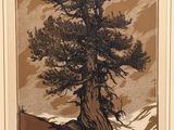une photo d'une photo d'un arbre sur une colline