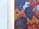 a painting of a bunch of grapes on the wall