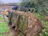 a large tree that has been cut down by the side of the road