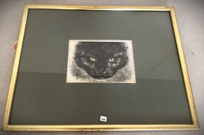 a picture of a cat that is in a picture frame