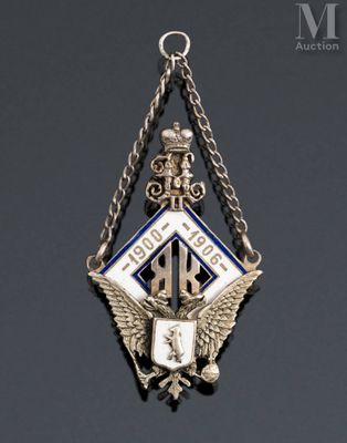an image of a silver and blue badge hanging from a chain