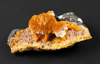 une tranche de pain garnie d'oranges, posée sur une surface noire